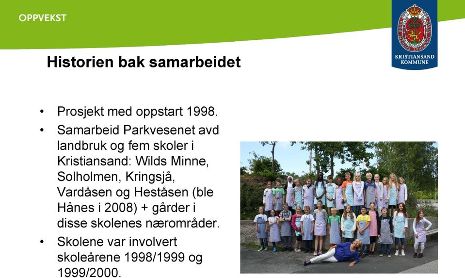 Minne, Solholmen, Kringsjå, Vardåsen og Heståsen (ble Hånes i 2008) +
