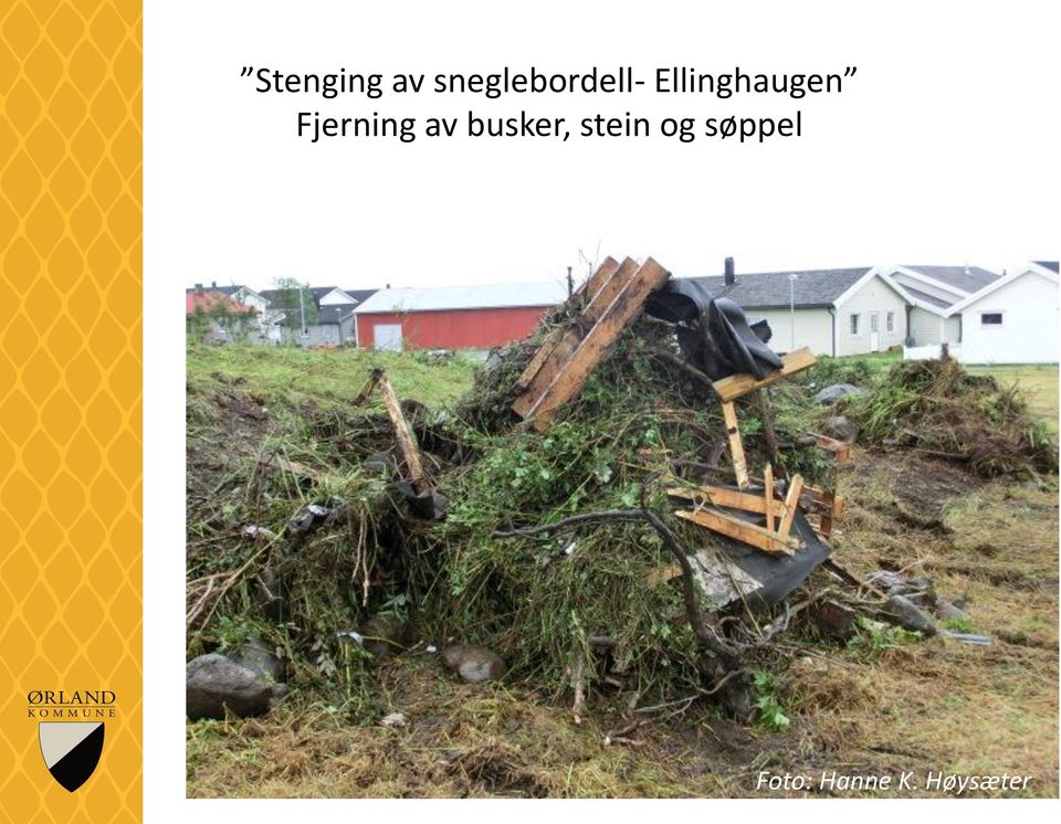 Ellinghaugen Fjerning av