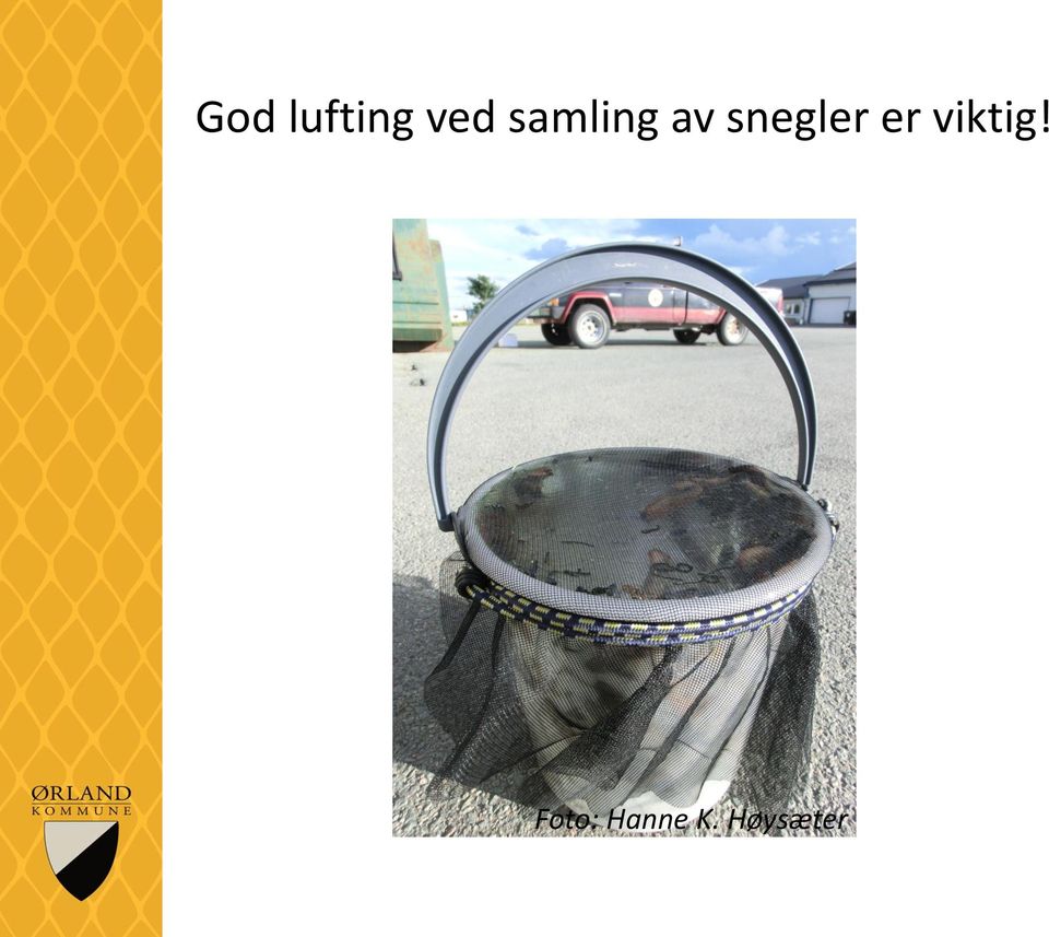 snegler er viktig!