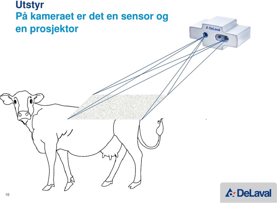 det en sensor