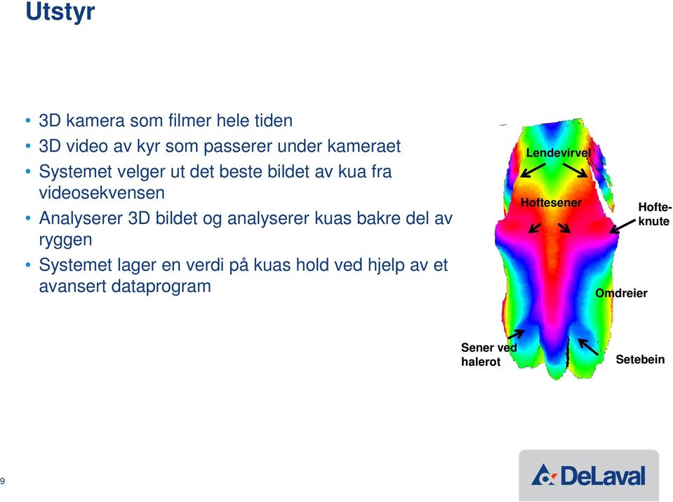 analyserer kuas bakre del av ryggen Systemet lager en verdi på kuas hold ved hjelp av