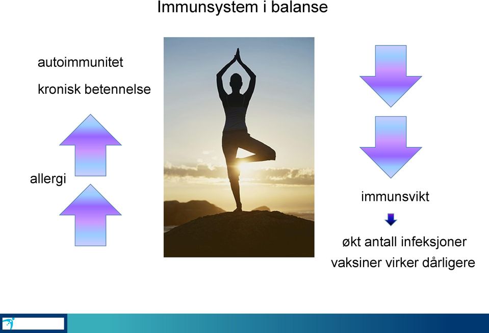 betennelse allergi immunsvikt