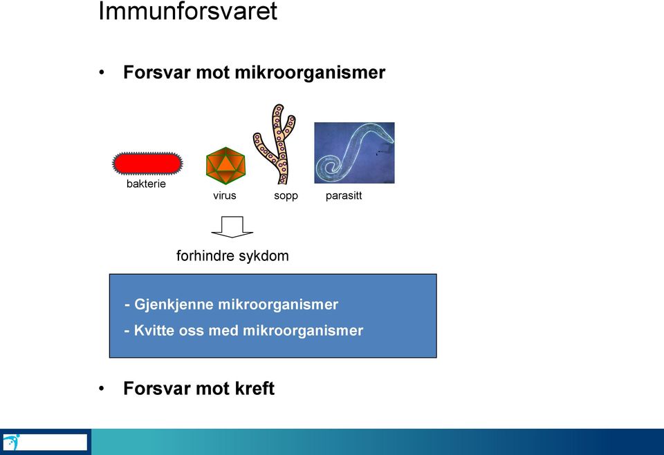 parasitt forhindre sykdom - Gjenkjenne