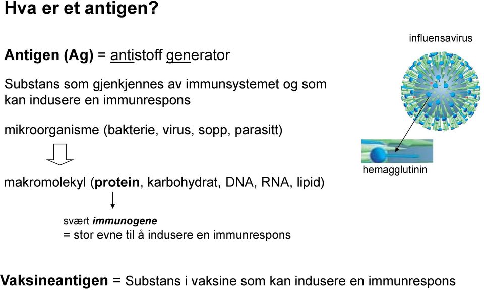 som kan indusere en immunrespons mikroorganisme (bakterie, virus, sopp, parasitt) makromolekyl