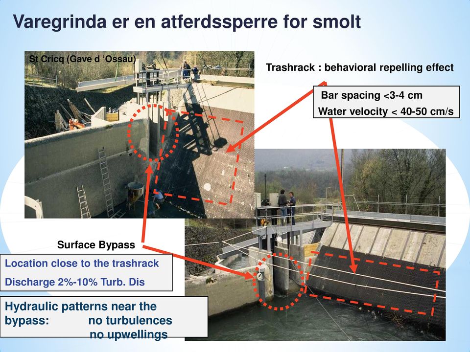 Surface Bypass Location close to the trashrack Discharge 2%-10% Turb.