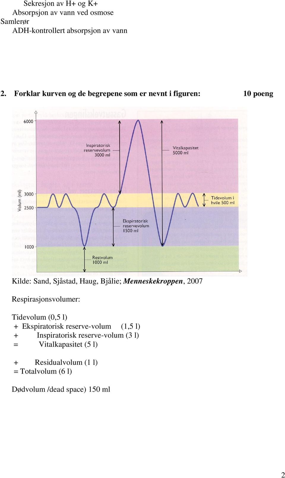 Menneskekroppen, 2007 Respirasjonsvolumer: Tidevolum (0,5 l) + Ekspiratorisk reserve-volum (1,5 l) +