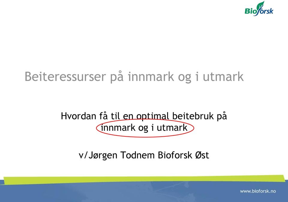 optimal beitebruk på innmark og