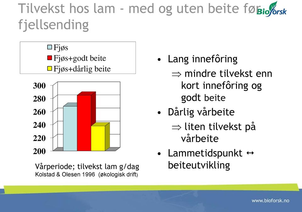 Olesen 1996 (økologisk drift) Lang innefôring mindre tilvekst enn kort innefôring