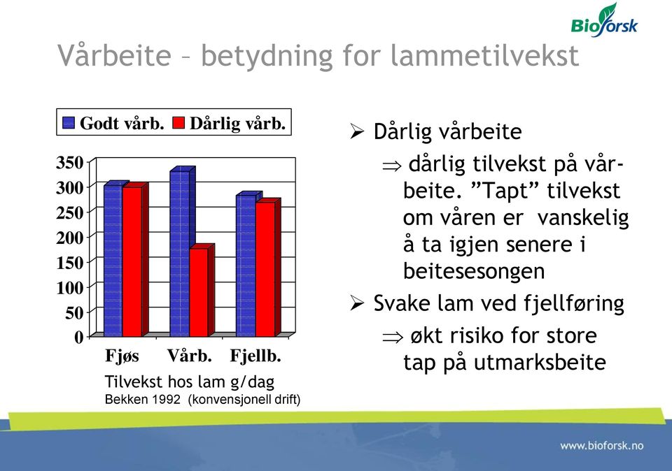 Tilvekst hos lam g/dag Bekken 1992 (konvensjonell drift) Dårlig vårbeite dårlig