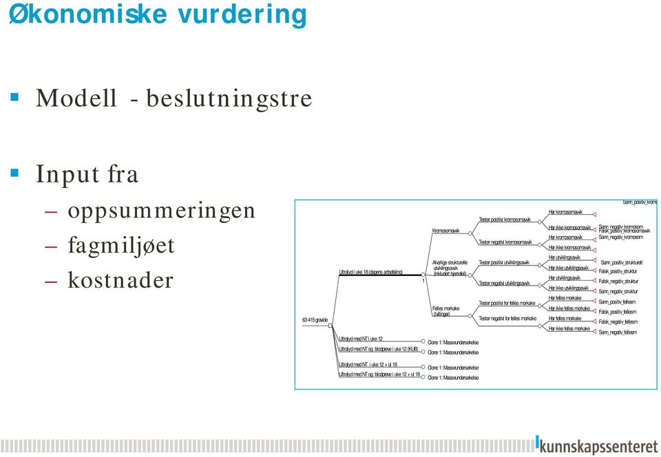 kromosomavvik Tester negativt kromosomavvik Tester positivt utvilklingsavvik Tester negativt utviklingsavvik Tester positivt for felles morkake Tester negativt for felles morkake Har kromosomavvik