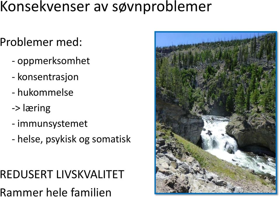 læring - immunsystemet - helse, psykisk og