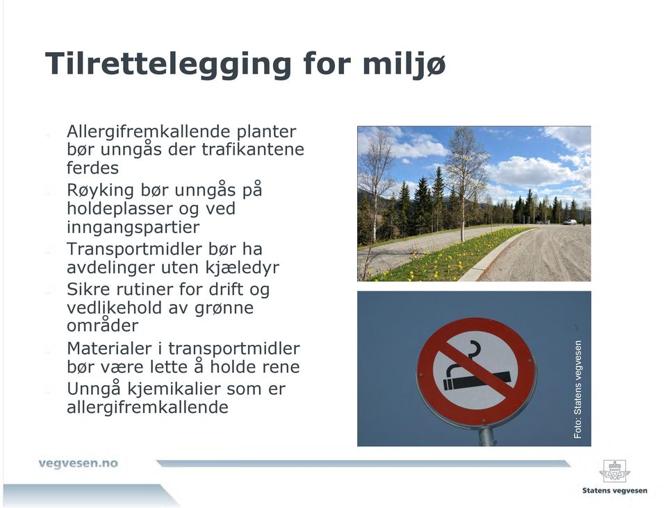 Transportmidler bør ha avdelinger uten kjæledyr!