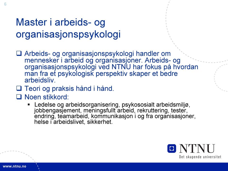 Arbeids- og organisasjonspsykologi ved NTNU har fokus på hvordan man fra et psykologisk perspektiv skaper et bedre arbeidsliv.