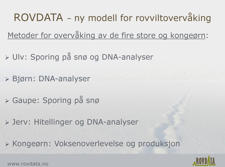 og DNA-analyser Bjørn: DNA-analyser Gaupe: Sporing på snø