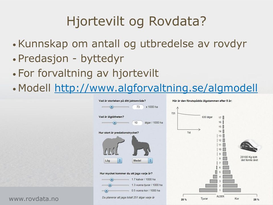 rovdyr Predasjon - byttedyr For