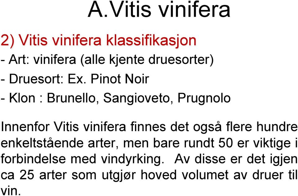 Pinot Noir - Klon : Brunello, Sangioveto, Prugnolo Innenfor Vitis vinifera finnes det også