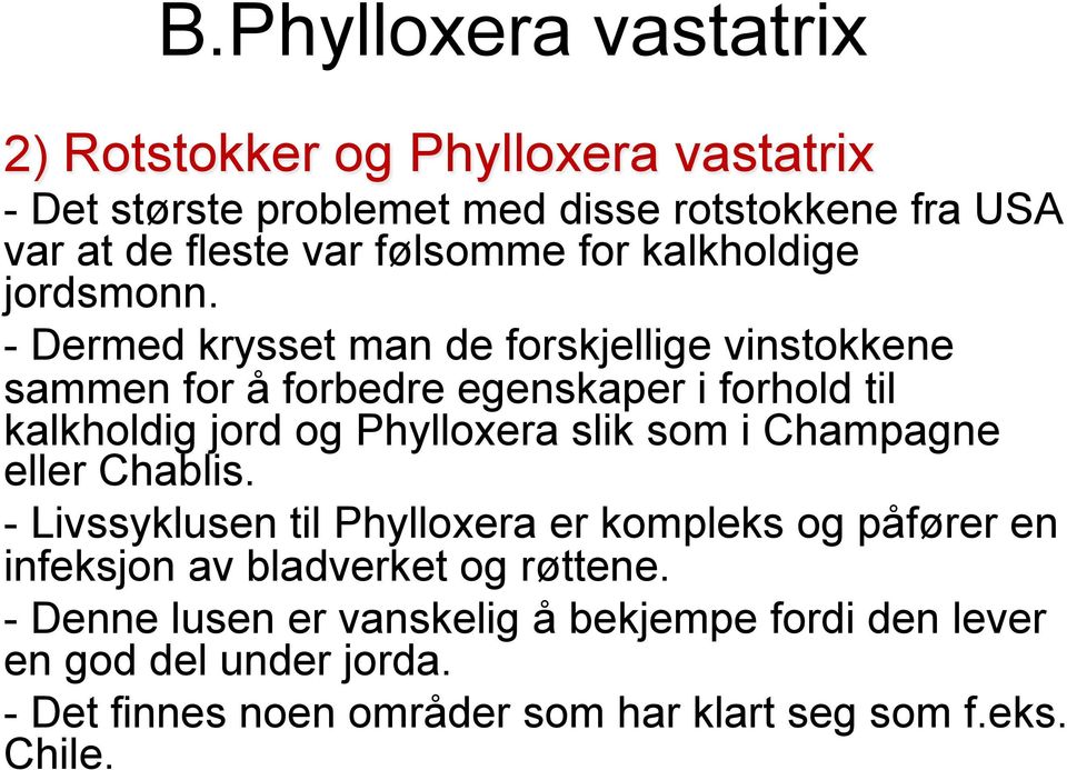 - Dermed krysset man de forskjellige vinstokkene sammen for å forbedre egenskaper i forhold til kalkholdig jord og Phylloxera slik som i