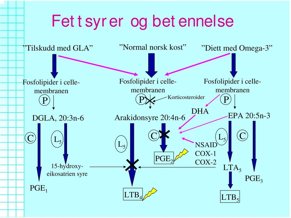 Fosfolipider i cellemembranen P Korticosteroider P Arakidonsyre 20:4n-6 DHA EPA