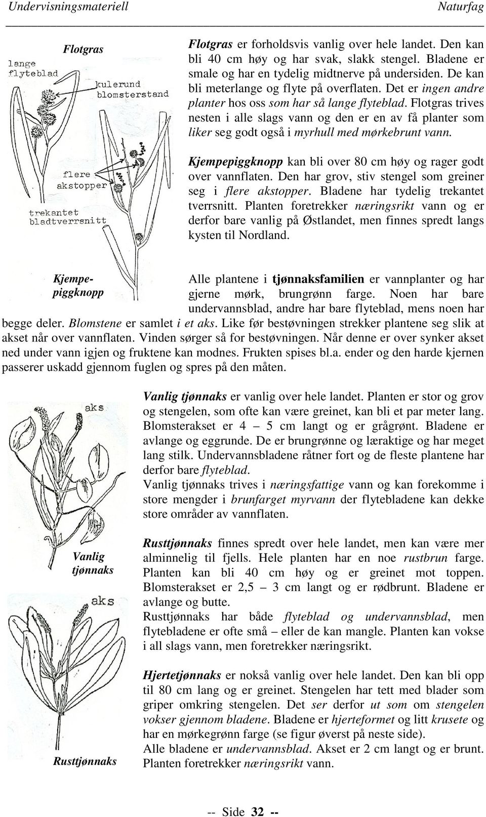 Flotgras trives nesten i alle slags vann og den er en av få planter som liker seg godt også i myrhull med mørkebrunt vann. Kjempepiggknopp kan bli over 80 cm høy og rager godt over vannflaten.