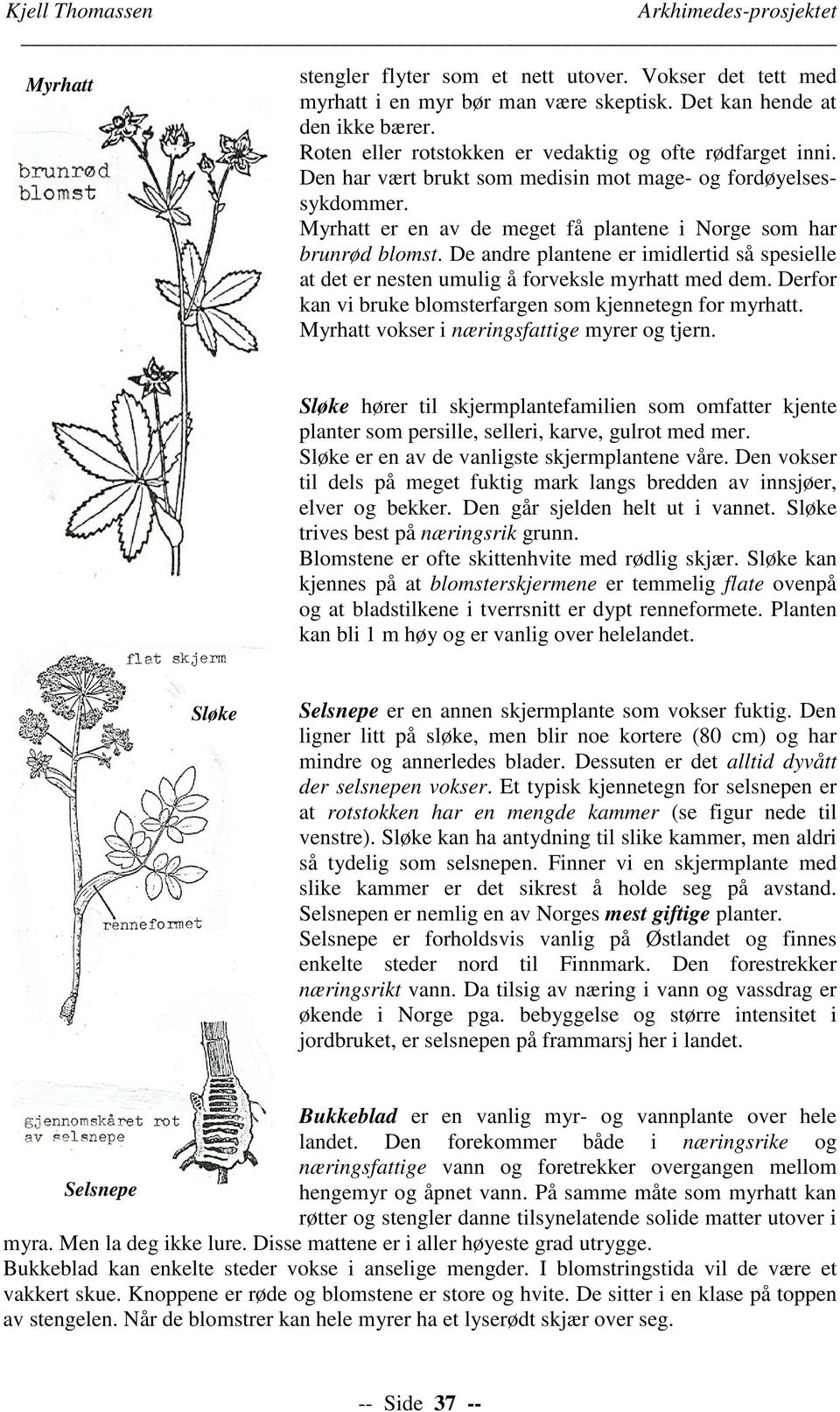 De andre plantene er imidlertid så spesielle at det er nesten umulig å forveksle myrhatt med dem. Derfor kan vi bruke blomsterfargen som kjennetegn for myrhatt.