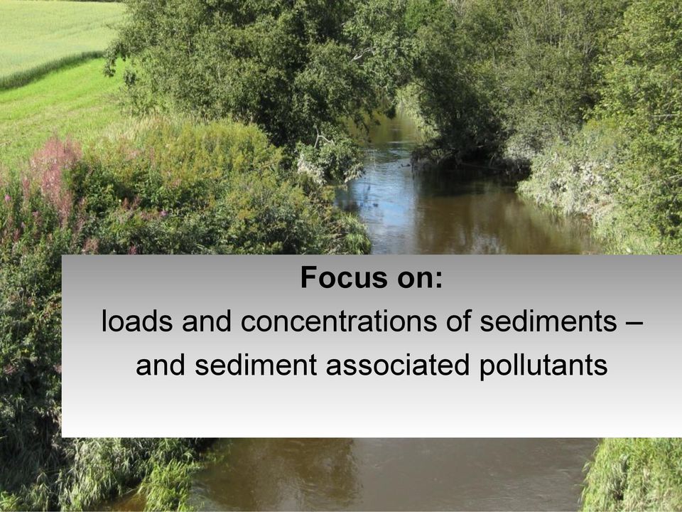 sediments and
