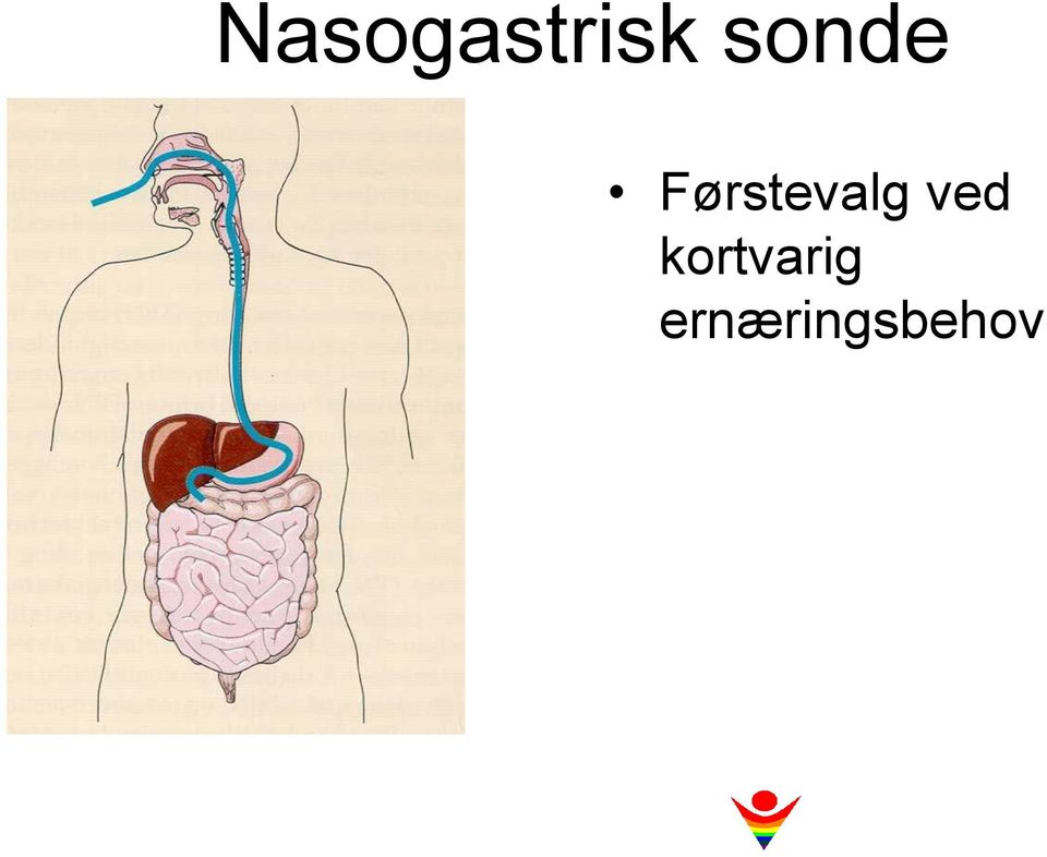 Førstevalg ved