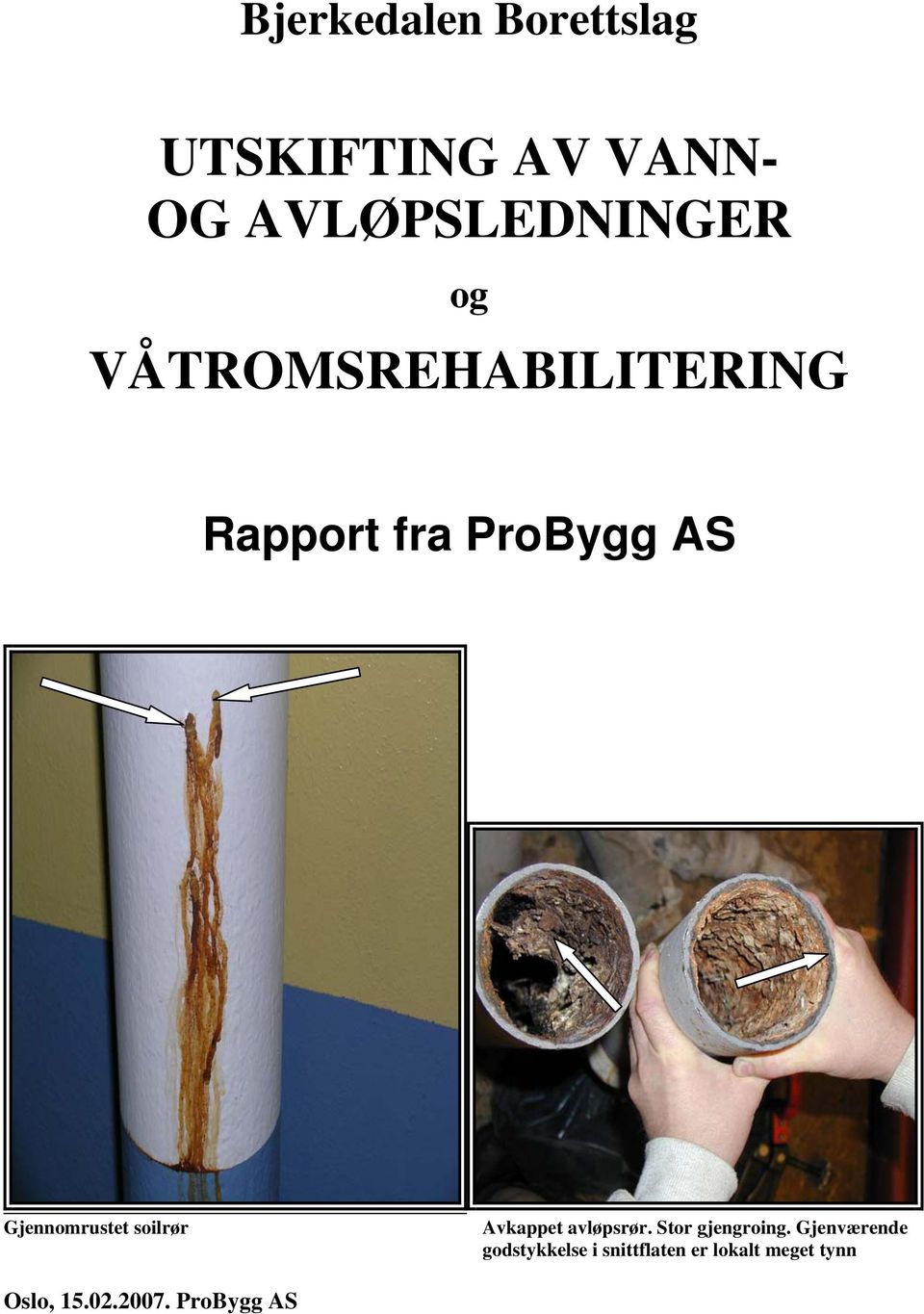 soilrør Avkappet avløpsrør. Stor gjengroing.