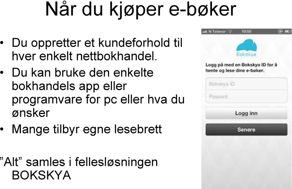 Du kan bruke den enkelte bokhandels app eller programvare