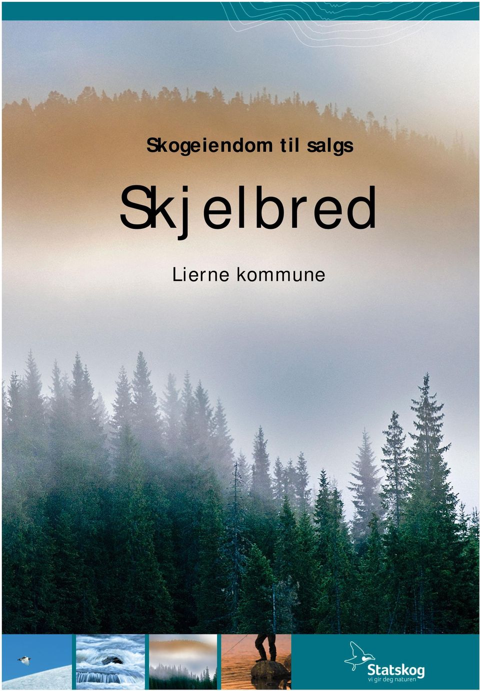 Skjelbred