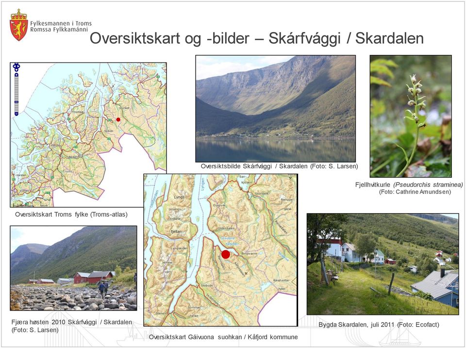 Larsen) Fjellhvitkurle (Pseudorchis straminea) (Foto: Cathrine Amundsen) Oversiktskart
