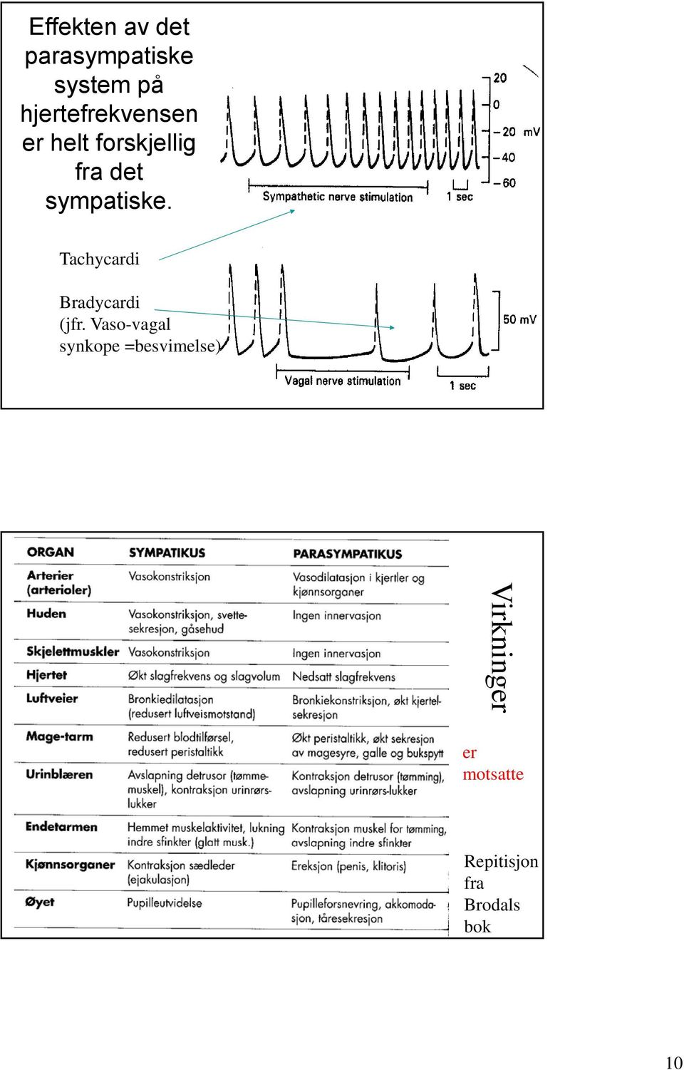 sympatiske. Tachycardi Bradycardi (jfr.