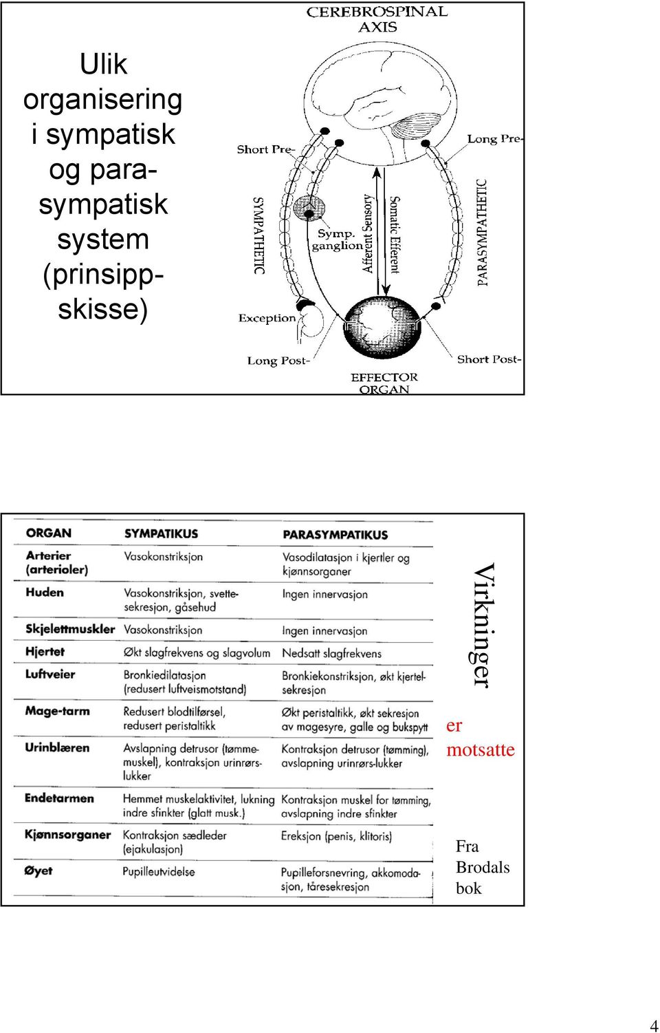 system (prinsippskisse)