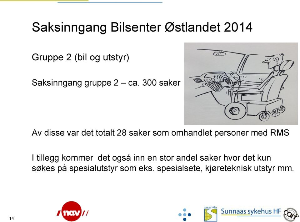 300 saker Av disse var det totalt 28 saker som omhandlet personer med RMS