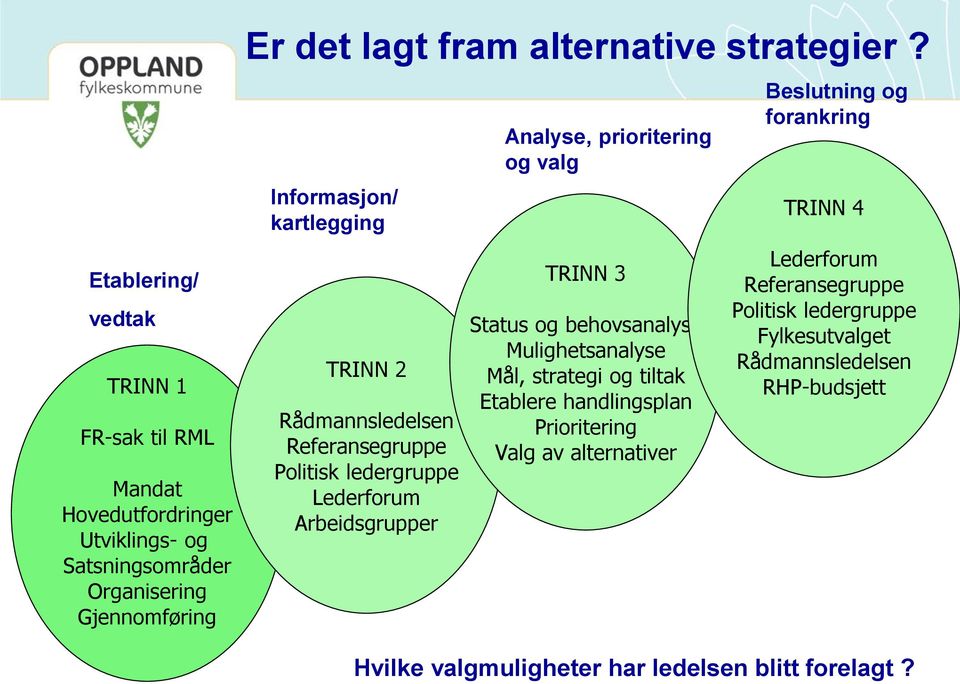 Informasjon/ kartlegging TRINN 2 Rådmannsledelsen Referansegruppe Politisk ledergruppe Lederforum Arbeidsgrupper Analyse, prioritering og valg TRINN 3