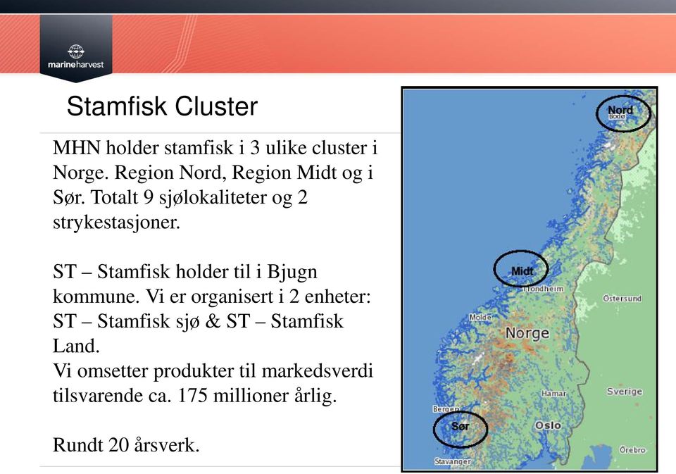 ST Stamfisk holder til i Bjugn kommune.