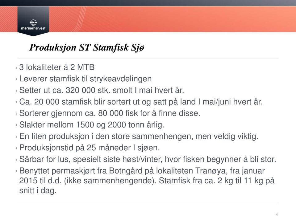 Slakter mellom 1500 og 2000 tonn årlig. En liten produksjon i den store sammenhengen, men veldig viktig. Produksjonstid på 25 måneder I sjøen.