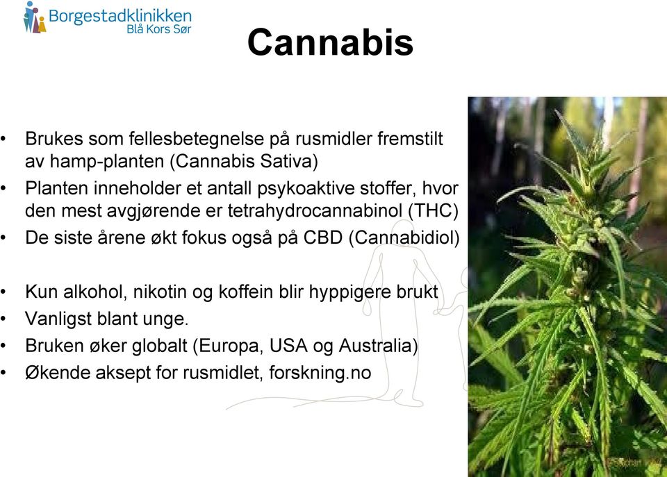 siste årene økt fokus også på CBD (Cannabidiol) Kun alkohol, nikotin og koffein blir hyppigere brukt