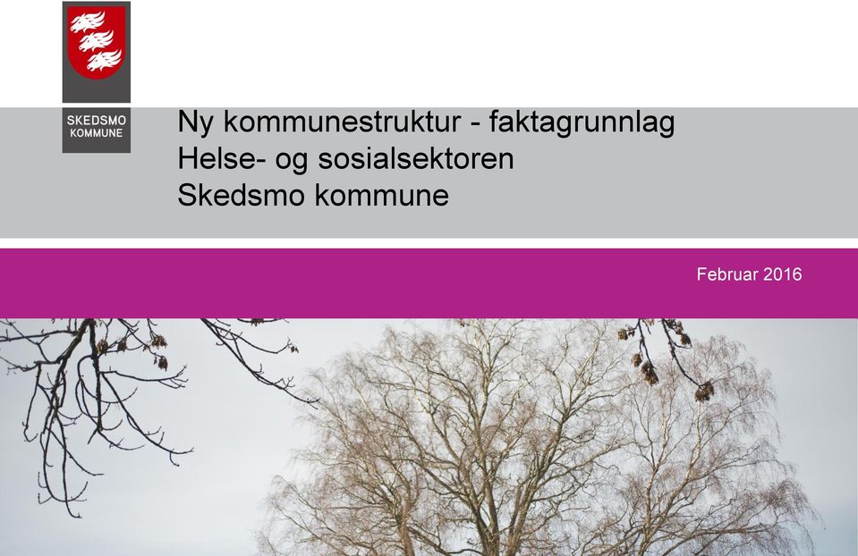 kommune Februar 2016 26.02.