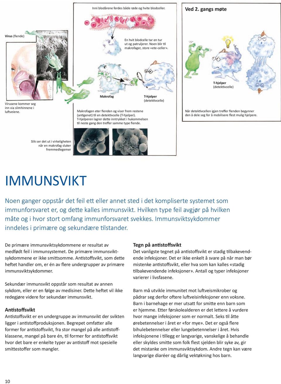 T-hjelperen lagrer dette inntrykket i hukommelsen til neste gang den treffer samme type fiende.