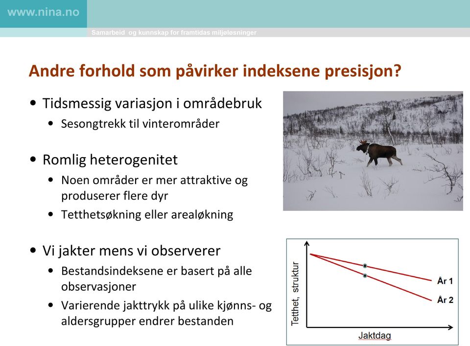 områder er mer attraktive og produserer flere dyr Tetthetsøkning eller arealøkning Vi jakter