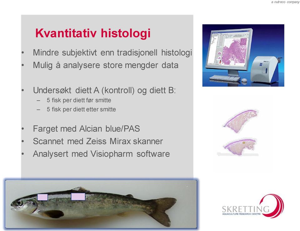 fisk per diett før smitte 5 fisk per diett etter smitte Farget med Alcian