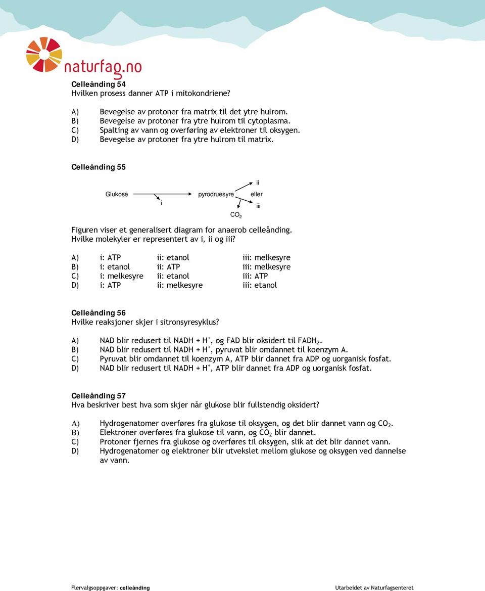 Celleånding 55 ii Glukose i pyrodruesyre eller iii CO 2 Figuren viser et generalisert diagram for anaerob celleånding. Hvilke molekyler er representert av i, ii og iii?