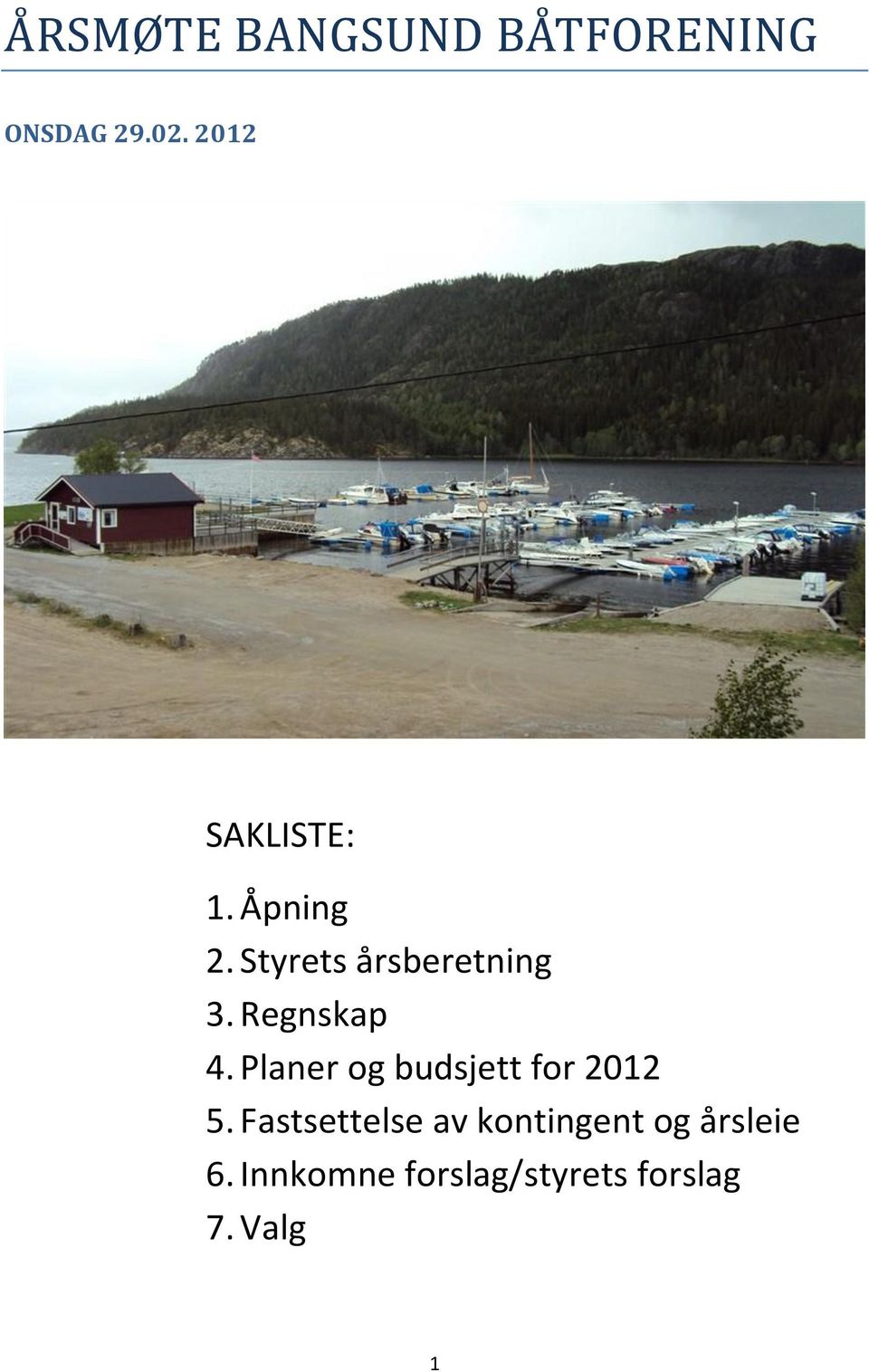 Regnskap 4. Planer og budsjett for 2012 5.