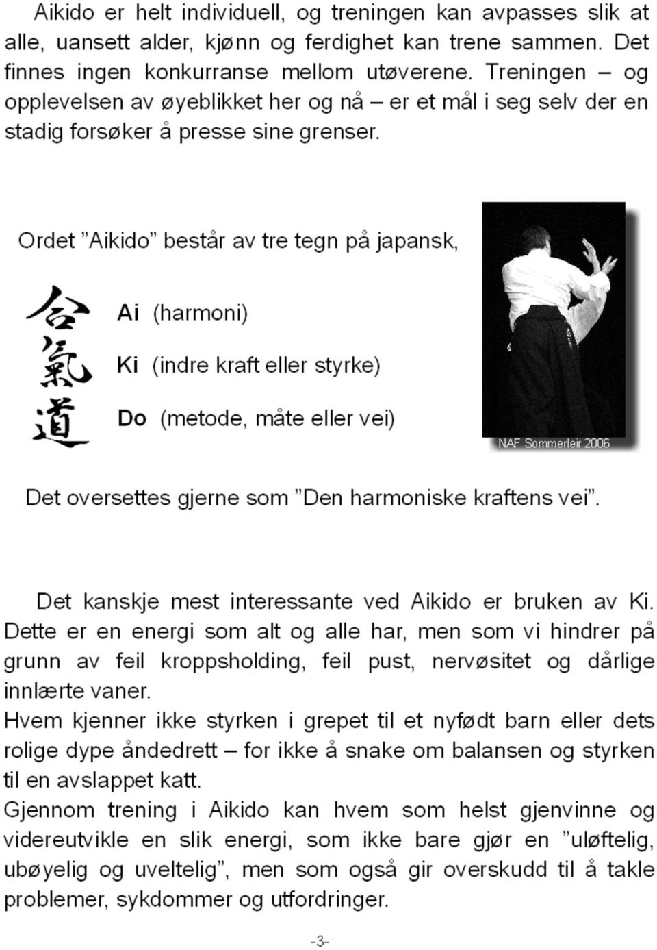 Ordet Aikido består av tre tegn på japansk, Ai (harmoni) Ki (indre kraft eller styrke) Do (metode, måte eller vei) NAF Sommerleir 2006 Det oversettes gjerne som Den harmoniske kraftens vei.