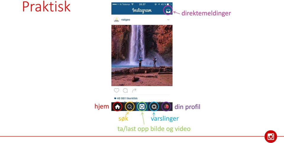 hjem din profil søk