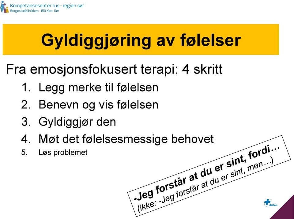 Benevn og vis følelsen 3. Gyldiggjør den 4.