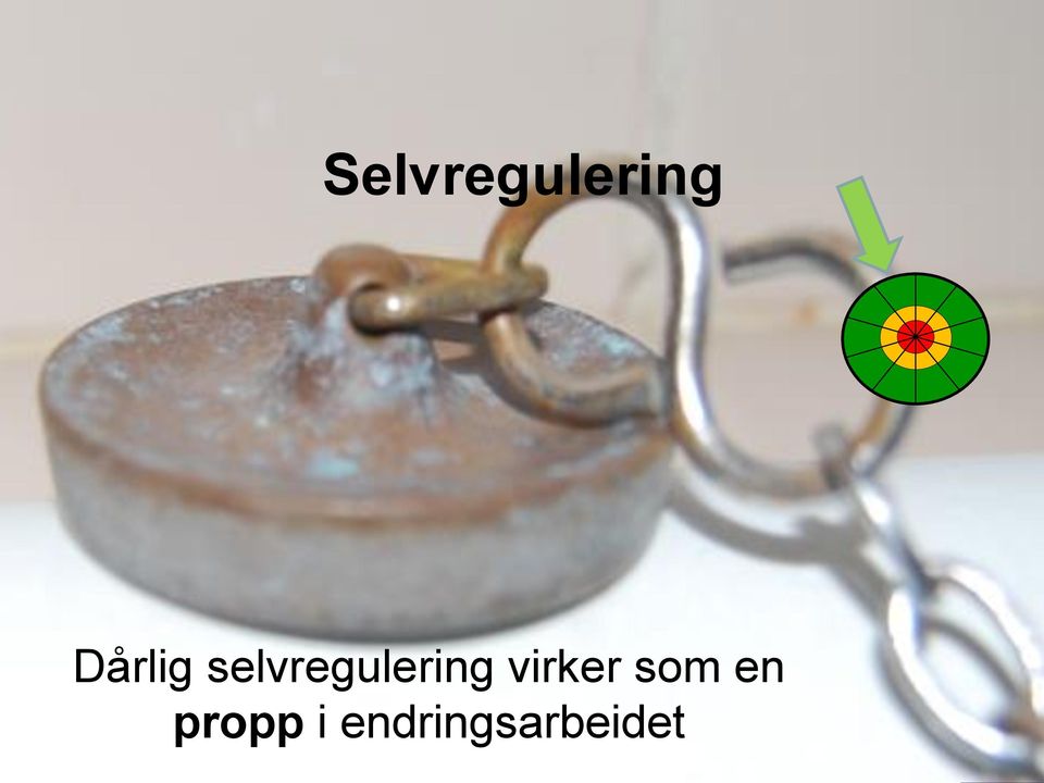 selvregulering