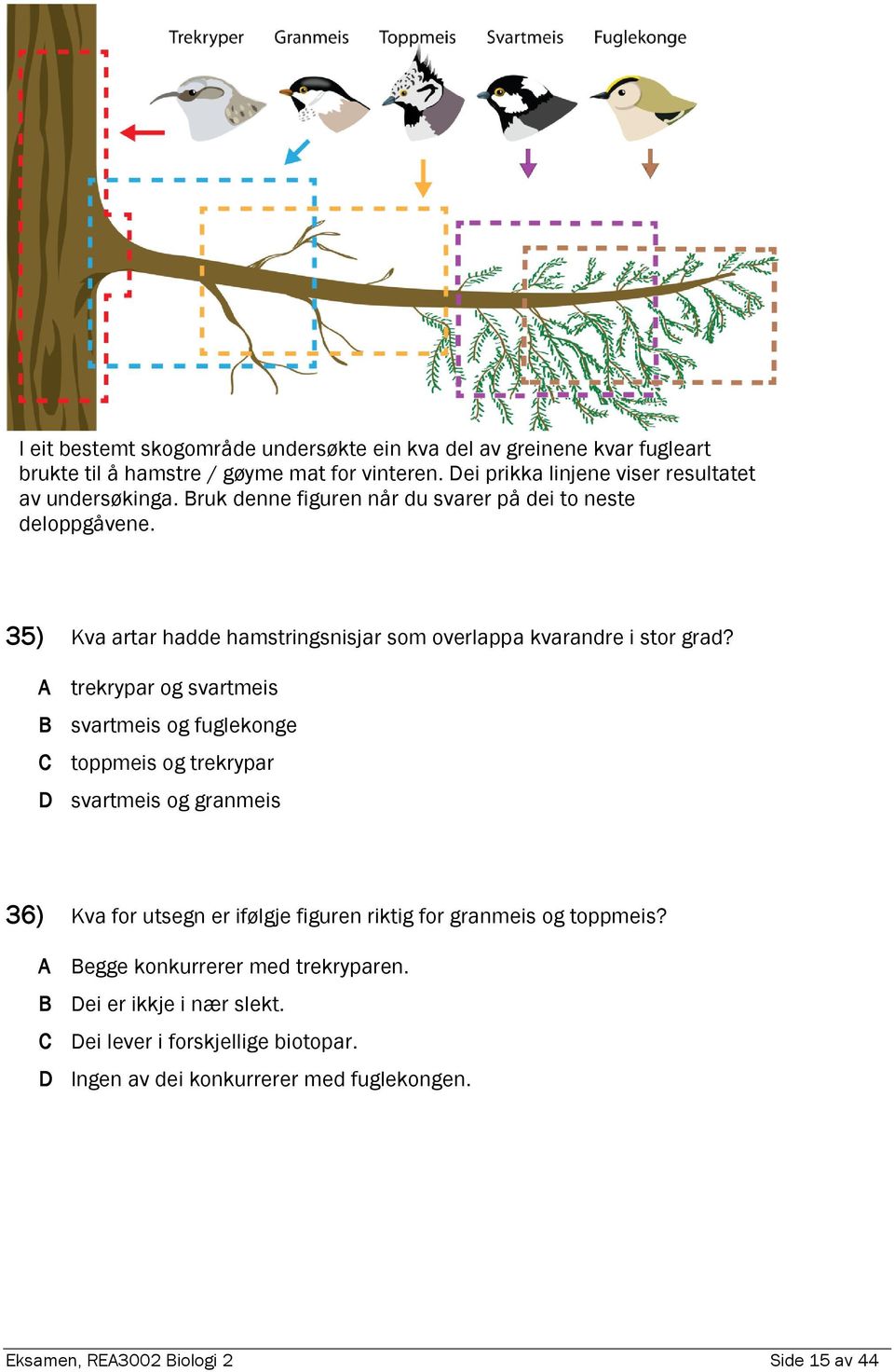 35) Kva artar hadde hamstringsnisjar som overlappa kvarandre i stor grad?