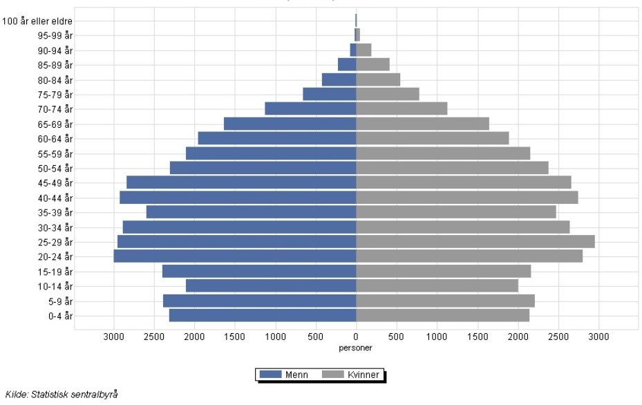 . Befolkningspyramide per 1.