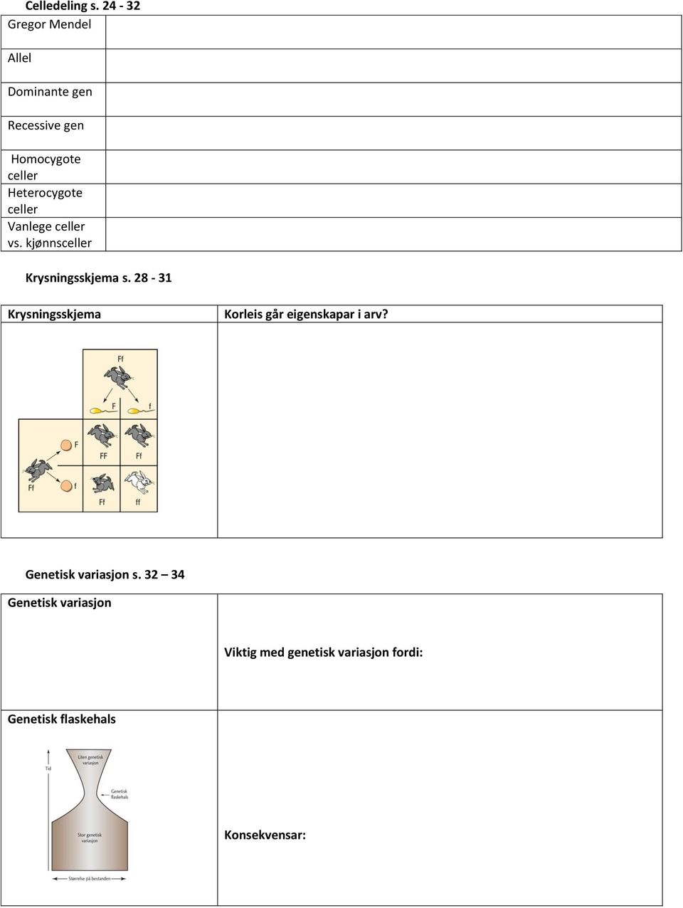 Heterocygote celler Vanlege celler vs. kjønnsceller Krysningsskjema s.